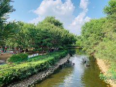 -长白岛森林公园