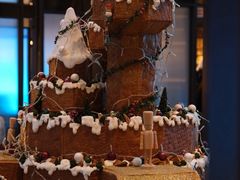 -新加坡乌节希尔顿酒店 (SG Clean)