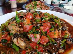 遇龙河剑骨鱼—阳朔特色啤酒鱼-生态苑农庄(十里画廊遇龙河店)