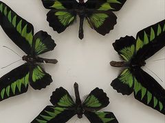 -洛阳龙门海洋馆