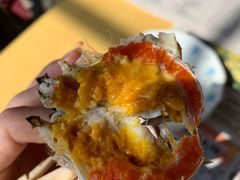 阳澄湖大闸蟹-黄记大闸蟹专卖店·活蟹·醉蟹