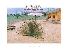 -上海辰山植物园