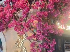 -前海沿·青岛菜(李沧万达店)