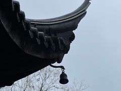 -红梅公园