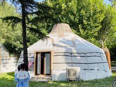 -九十九顶毡房(阜石路店)