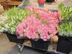 -循礼门鲜花花市(武汉循礼门店)