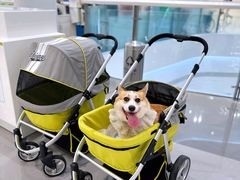 -哈根达斯(青岛海信店)