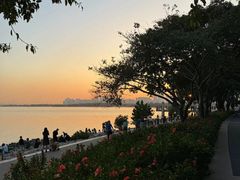-深圳湾公园(南山区)