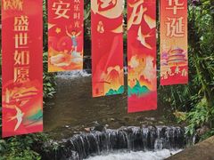 -莫里热带雨林景区