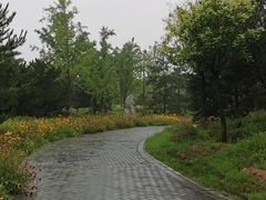 -东郊湿地公园