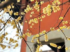 -钱王祠