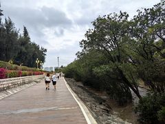 -宝安西湾红树林湿地公园