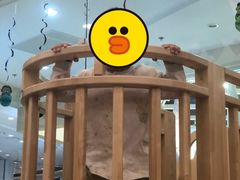 -龙格亲子游泳·水育早教运动中心(绿宝中心)