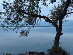 -西昌邛海湿地