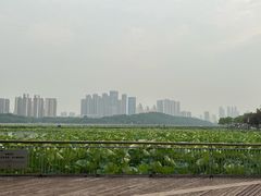 -月湖风景区