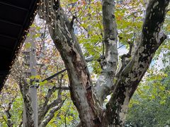 -La Creperie法餐厅(桃江路店)