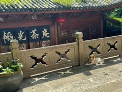 -韬光茶庵