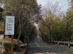 -孙武文化园-停车场