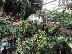 -正佳雨林生态植物园