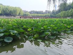 -中国农业博物馆