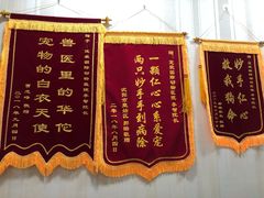 -宠爱国际动物医院· 猫科· 外科·中兽医(长白店)