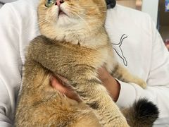 -宠颐生宠物医院外科·内科·皮肤科·影像科(石龙店)