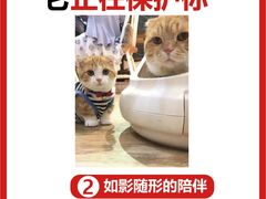 -瑞派福兴宠物医院犬猫全科·骨科·中西医结合(河东店)