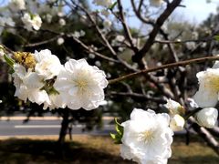 -皇家御河游(紫御湾码头)