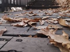 -帽儿山国家森林公园