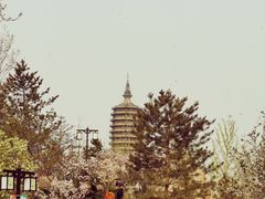 -西海子公园