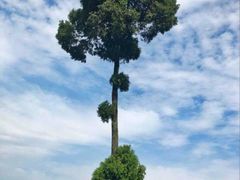 -金堂县云顶石城风景区