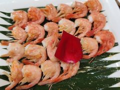 -清真军邺·金富苑肥牛(石坡街旗舰店)