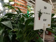 -IKEA宜家家居(南京商场)