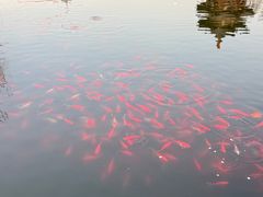 -迎泽公园