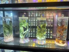 -广东中医药博物馆