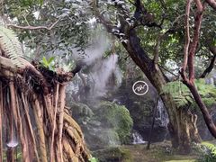 -Chom Cafe and Restaurant