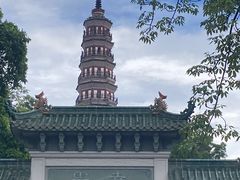-顺峰山公园