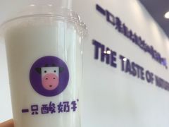 -一只酸奶牛(八一路店)