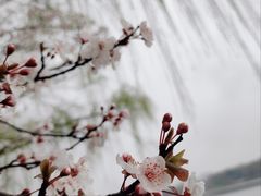 -昆山城市生态森林公园