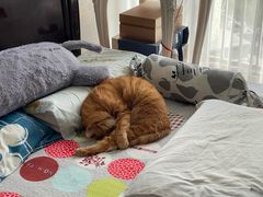 -新荟城(望京店)