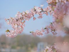 -上海辰山植物园