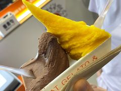 -野人先生现做冰淇淋(北京环宇荟店)