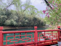 -皇家御河游(紫御湾码头)