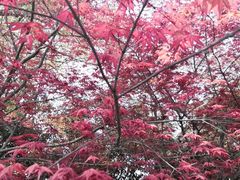 -老头儿油爆虾·1987杭州烟火味(湖滨银泰in77D区店)