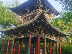 -迎泽公园