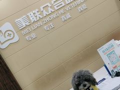 -美联众合动物医院·内科·皮肤科·外科(古城分院)