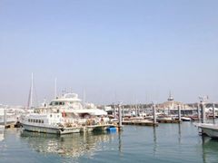 -渡海小渔村.老辈日照菜