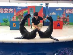 -成都浩海立方海洋公园