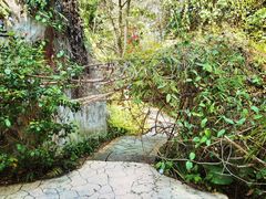 -深圳国际园林花卉博览园