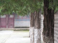 -白塔寺